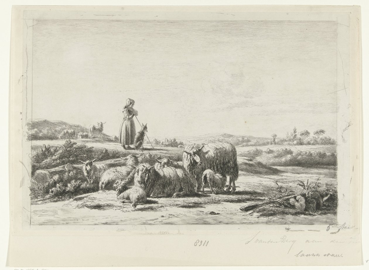 Landschap met herderin en hond bij kudde schapen door Simon van den Berg