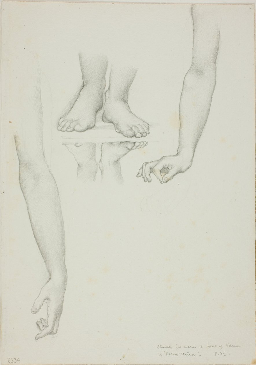 Studie voor Spiegel van Venus: Armen en voeten van Venus door Sir Edward Burne Jones