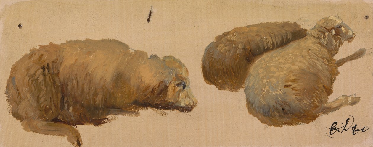 Drie Schapen in Rust door Sir Edwin Henry Landseer
