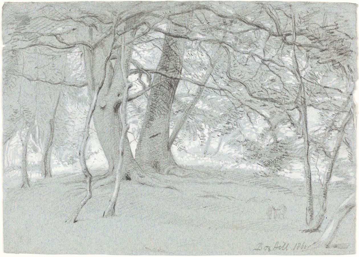 Bomen bij Box Hill door Sir William Blake Richmond