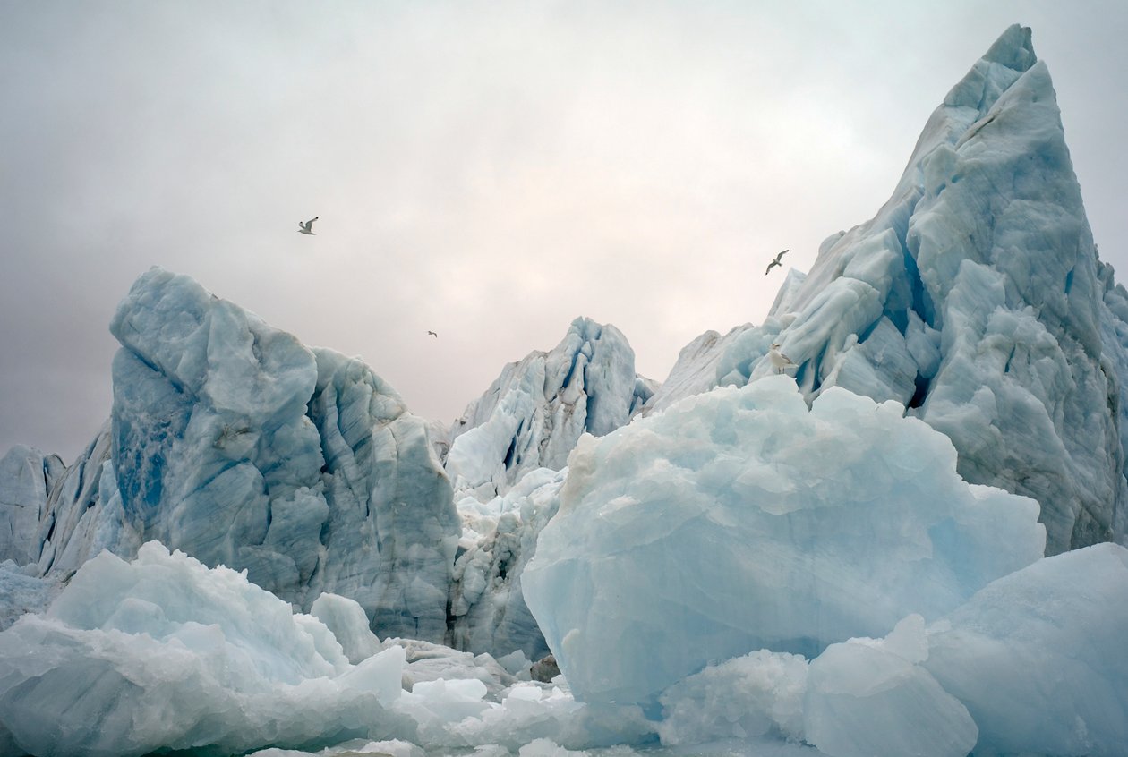 IJsbergen in de Arctische zee rond Spitsbergen, Noorwegen, 2022 (foto) door Sisse Brimberg