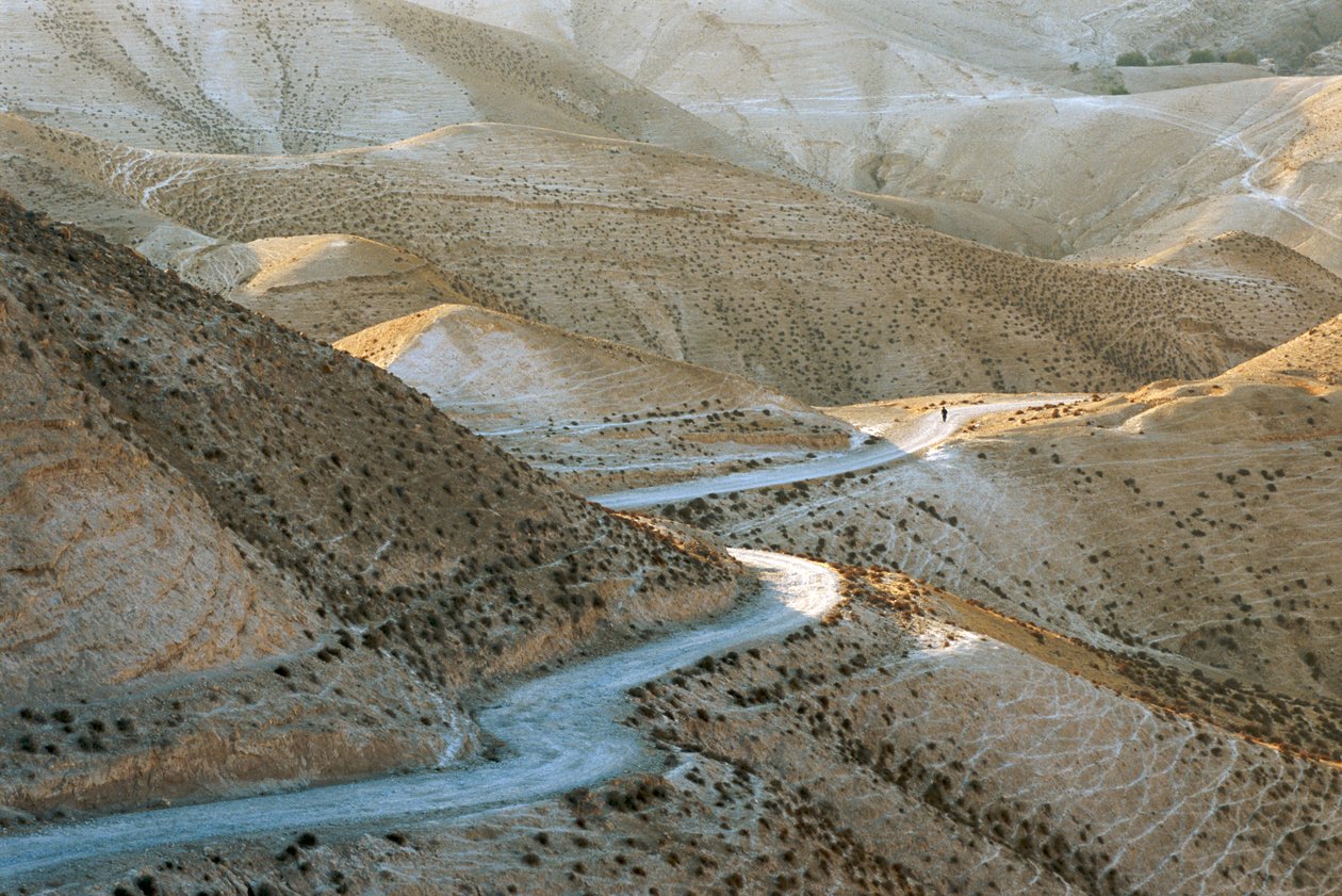 Israël, Judea: Scène van de Judeese Heuvels ten oosten van Jeruzalem, 2022 (foto) door Sisse Brimberg