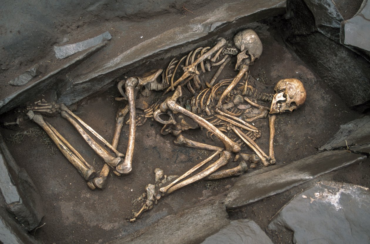 De botten van twee Scythen liggen in een 3000 jaar oud graf in Arzhan-2. door Sisse Brimberg
