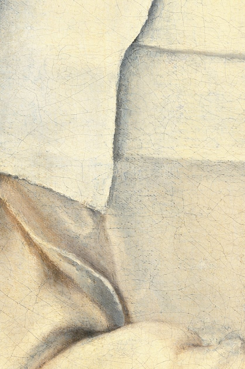 Portret van de zus van de kunstenaar door Sofonisba Anguissola