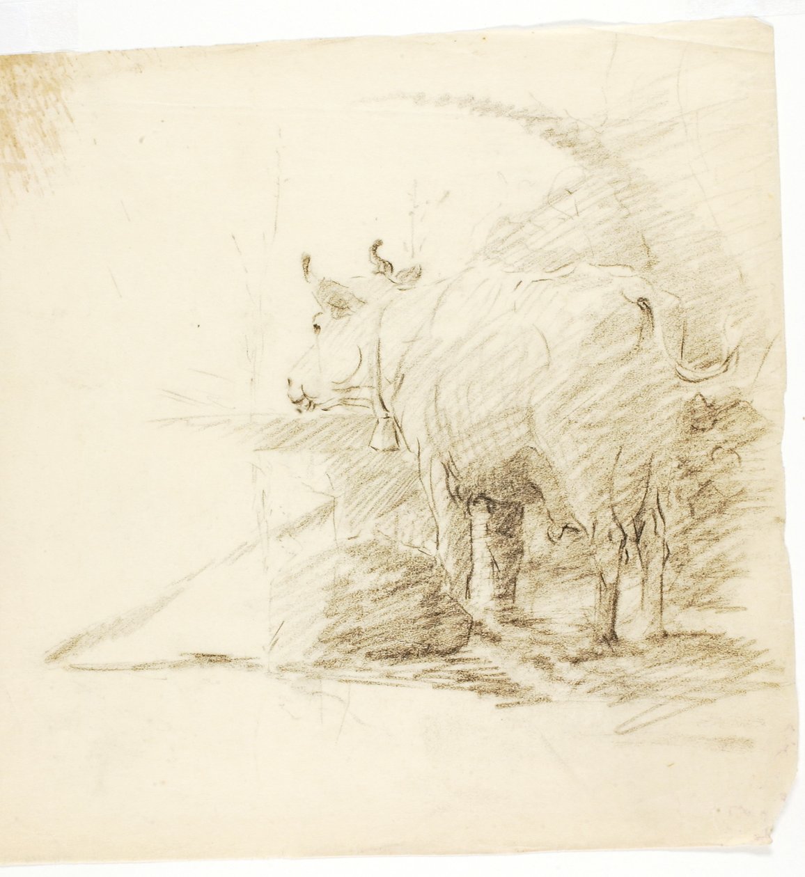 Koe door Solon H. Borglum