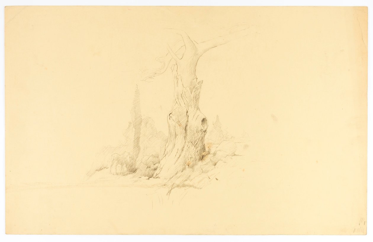 Dode boom en Colt grazen door Solon H. Borglum