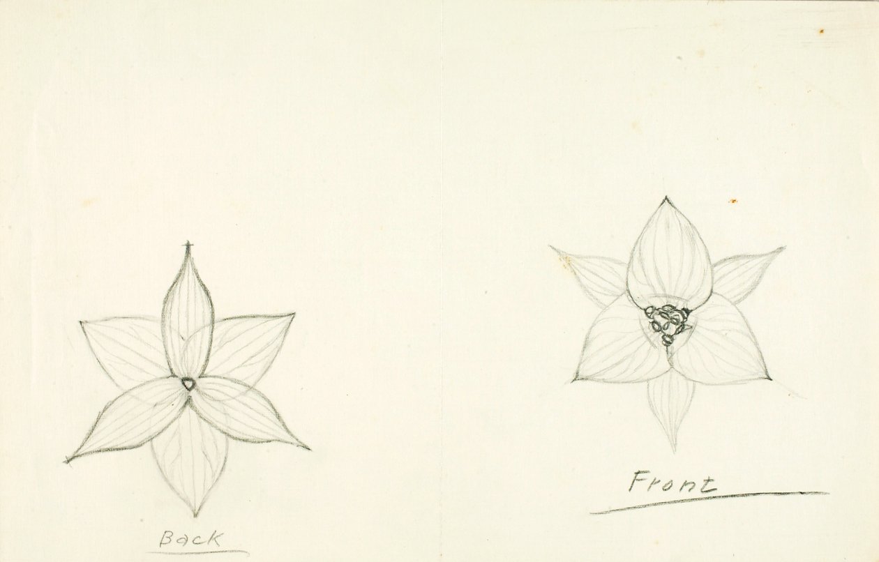 Kader van de bloem door Solon H. Borglum
