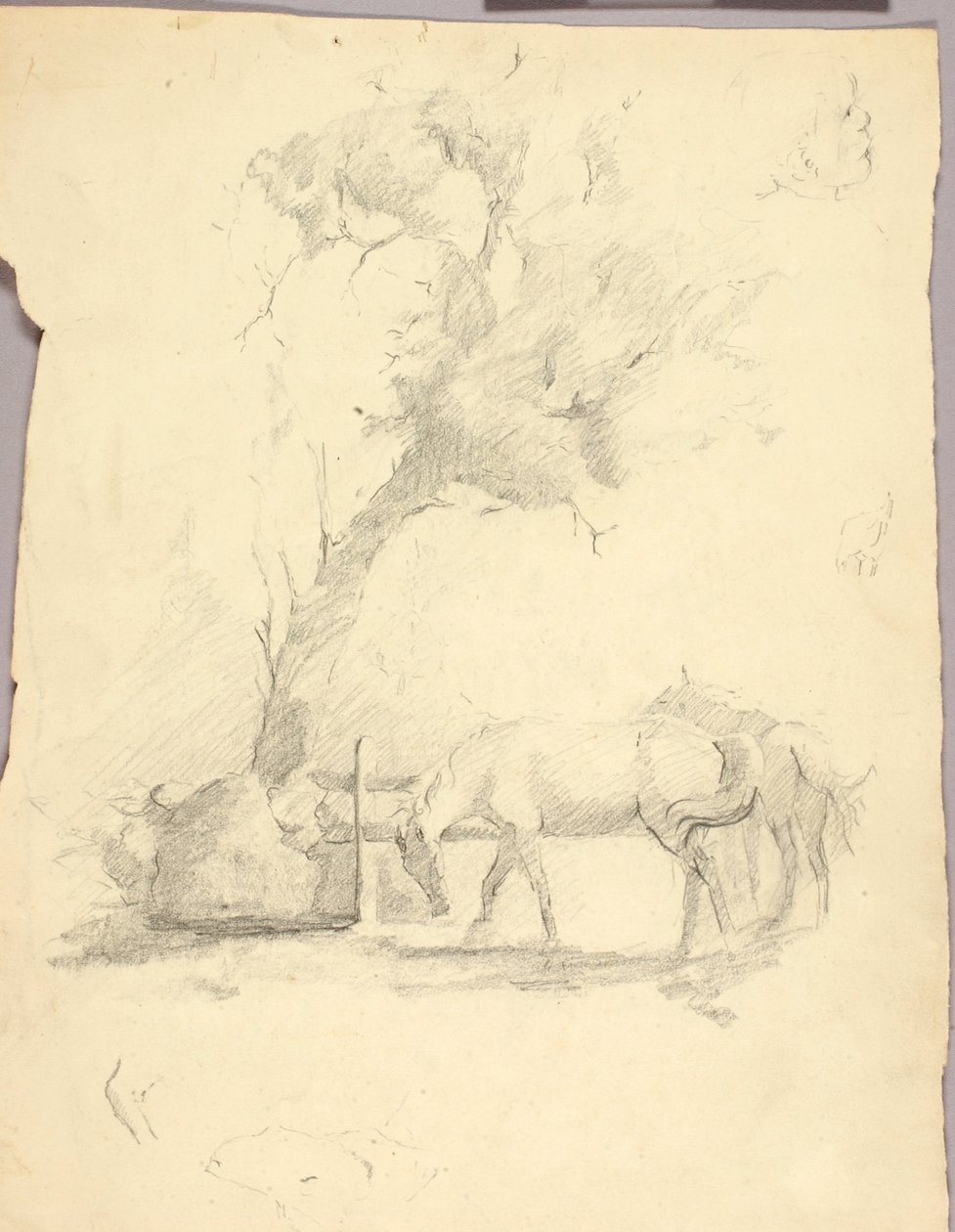 Paarden en bomen door Solon H. Borglum