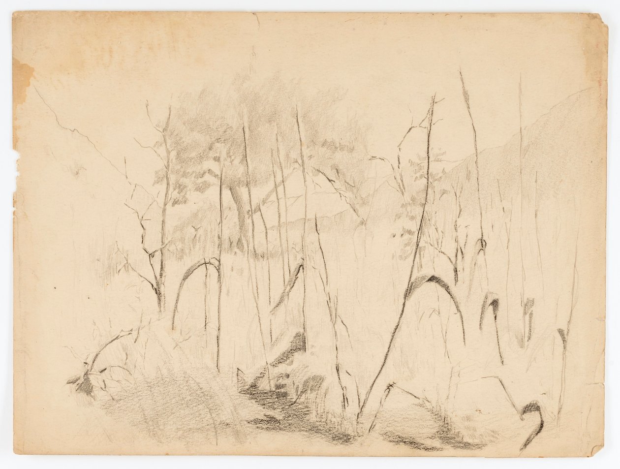 Landschap door Solon H. Borglum