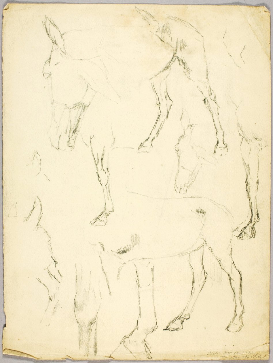 Portretstudie, Paardenstudie door Solon H. Borglum