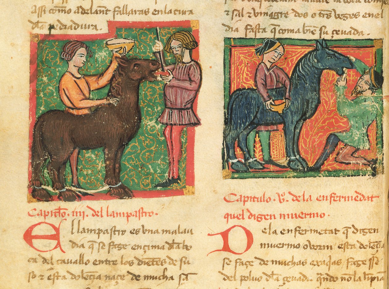 Genezing van glossitis bij een paard, uit Libro de Menescalcia y Albeyteria door Juan Alvarez, c.1390 door Spanish School