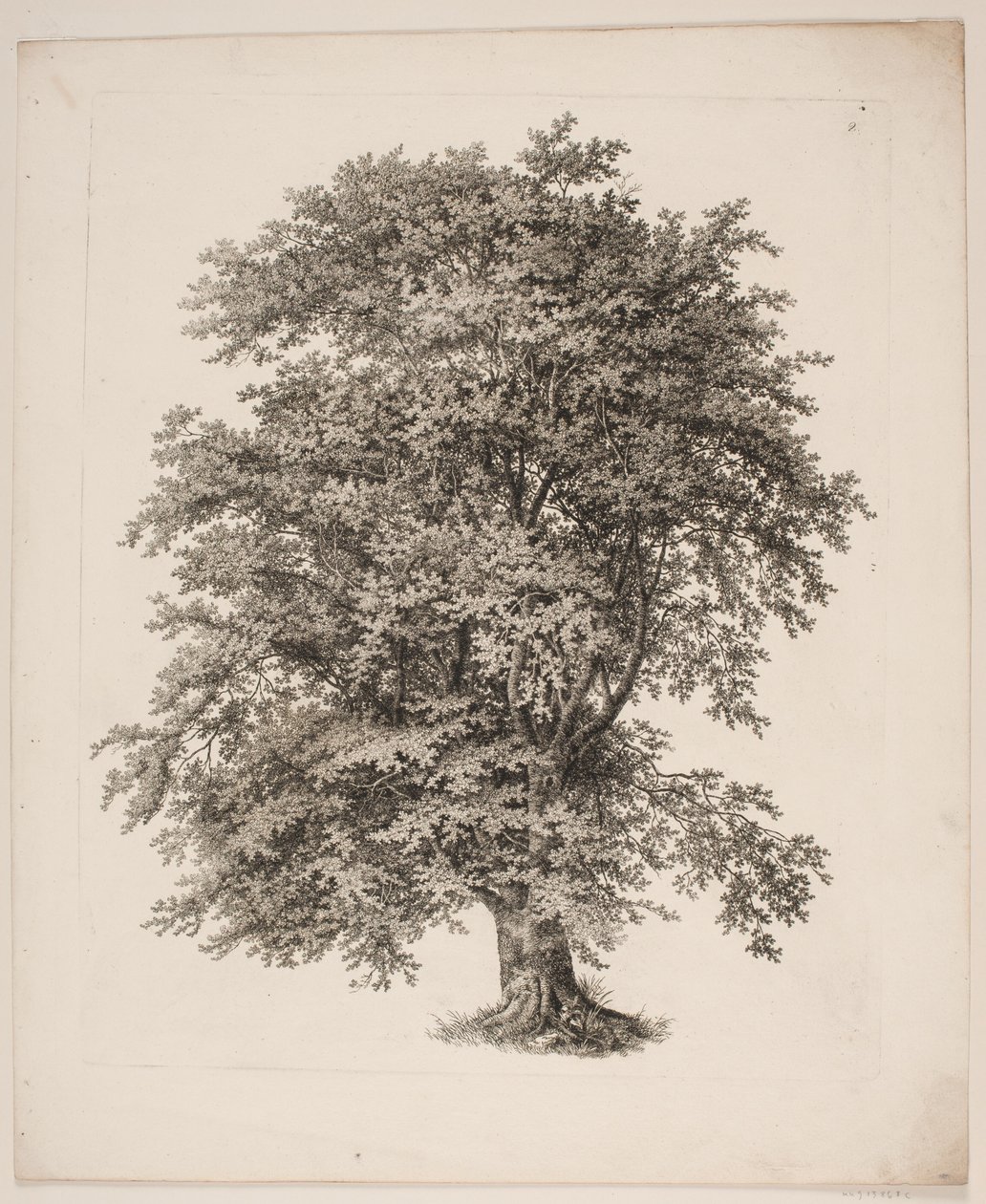 "Studies naar de Natuur met Betrekking tot Landschapstekening van S.H. Petersen", nr. 2 door Søren Henrik Petersen