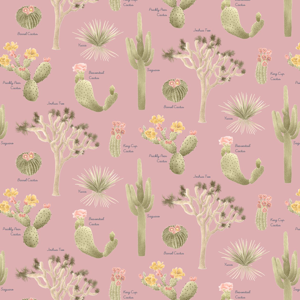 Mojave Woestijn Cactussen Patroon door Stacy Hsu