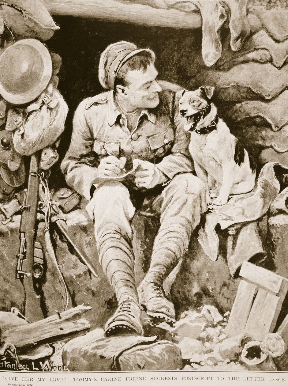 Geef haar mijn liefde, Tommys hondenvriend suggereert naschrift bij de brief naar huis, uit War Illustrated, ca. 1916 door Stanley L. Wood