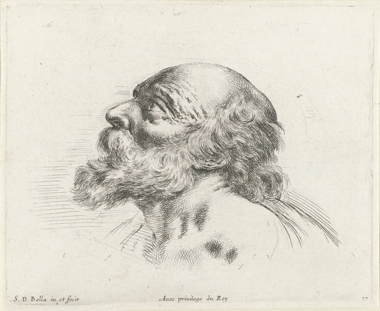 Hoofd van een kale oude man met baard, in profiel naar links (mogelijk H. Petrus) door Stefano della Bella