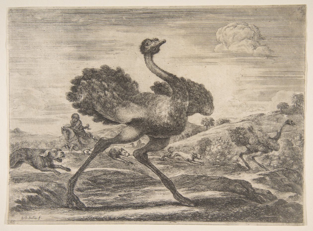 Struisvogeljacht, uit Dierenjachten, ca. 1654 door Stefano della Bella