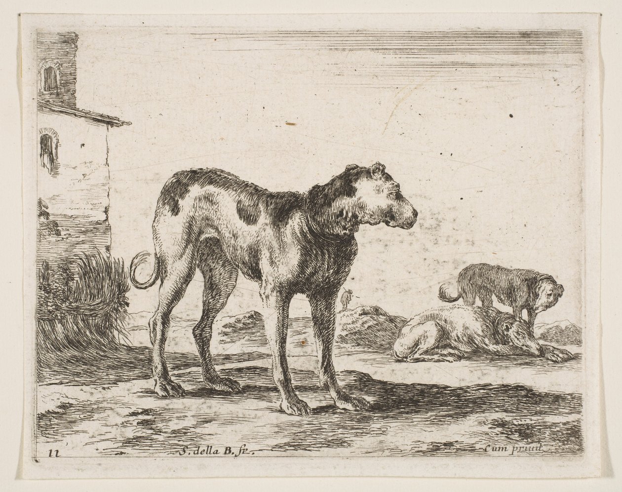 Plaat 11: honden, uit Diverse dieren, ca. 1641 door Stefano della Bella