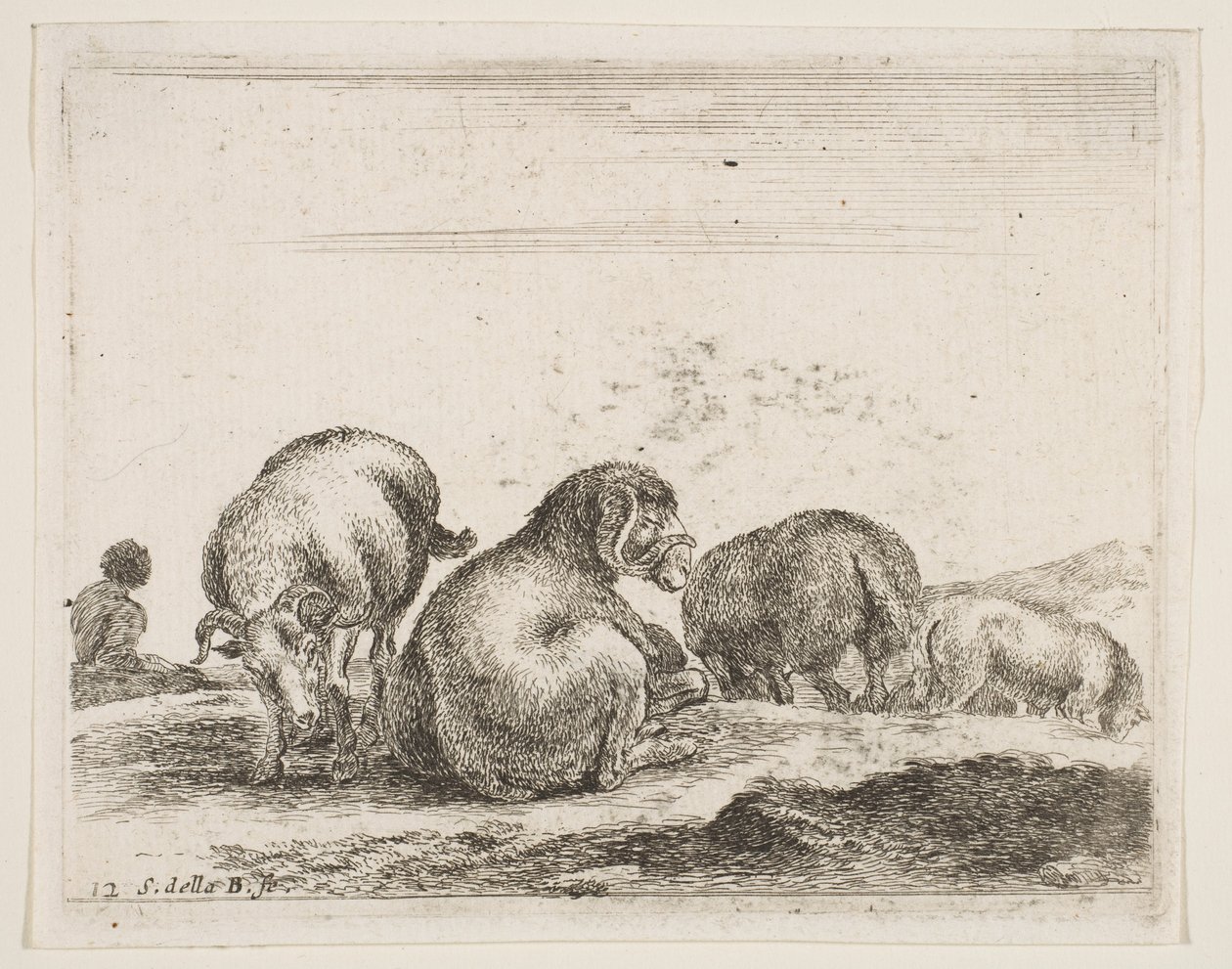Plaat 12: schapen en ram in een weiland, uit Diverse dieren Diversi animali, ca. 1641 door Stefano della Bella