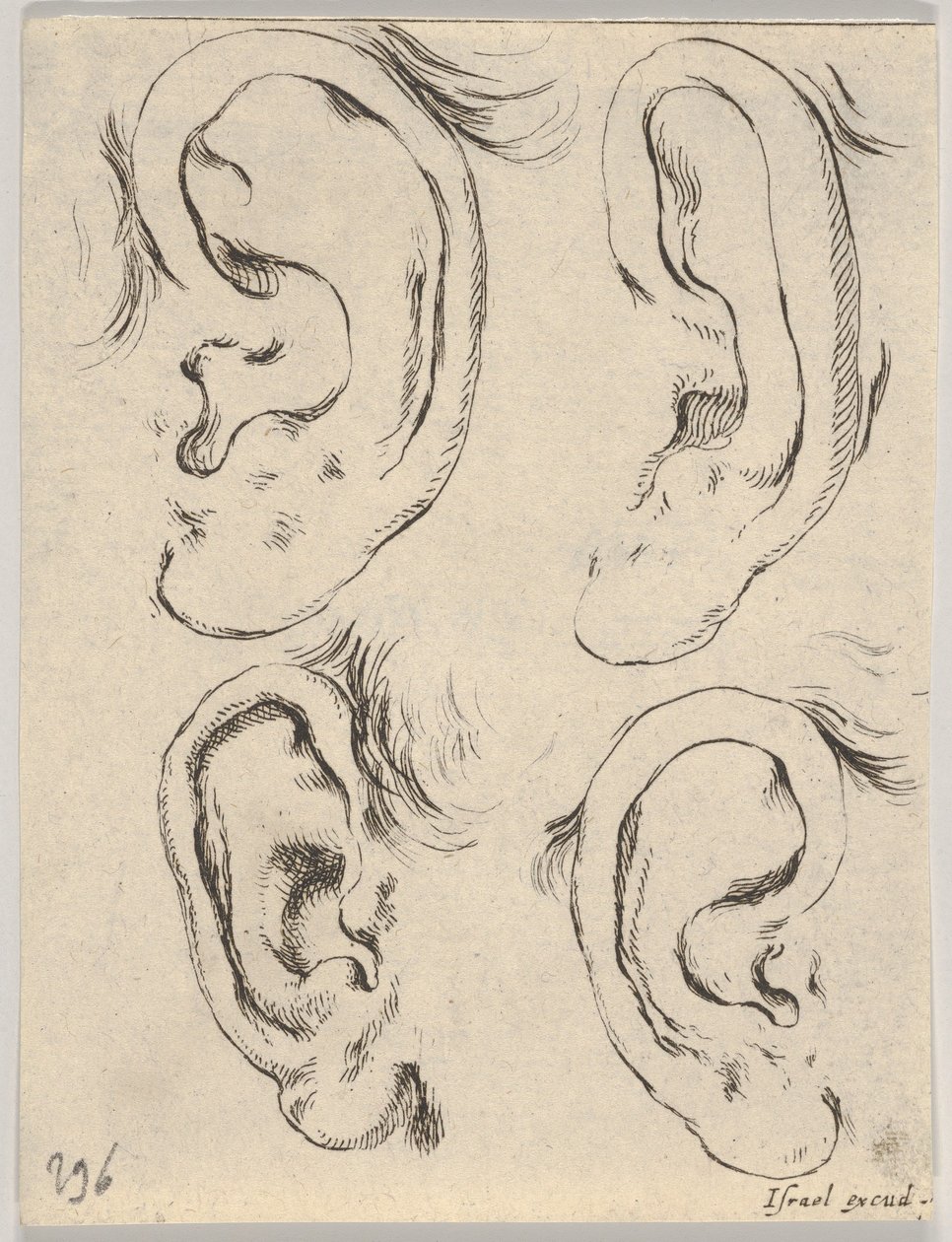 Plaat 5: vier oren, uit Het boek om te leren tekenen Livre pour apprendre à dessiner, ca. 1649 door Stefano della Bella