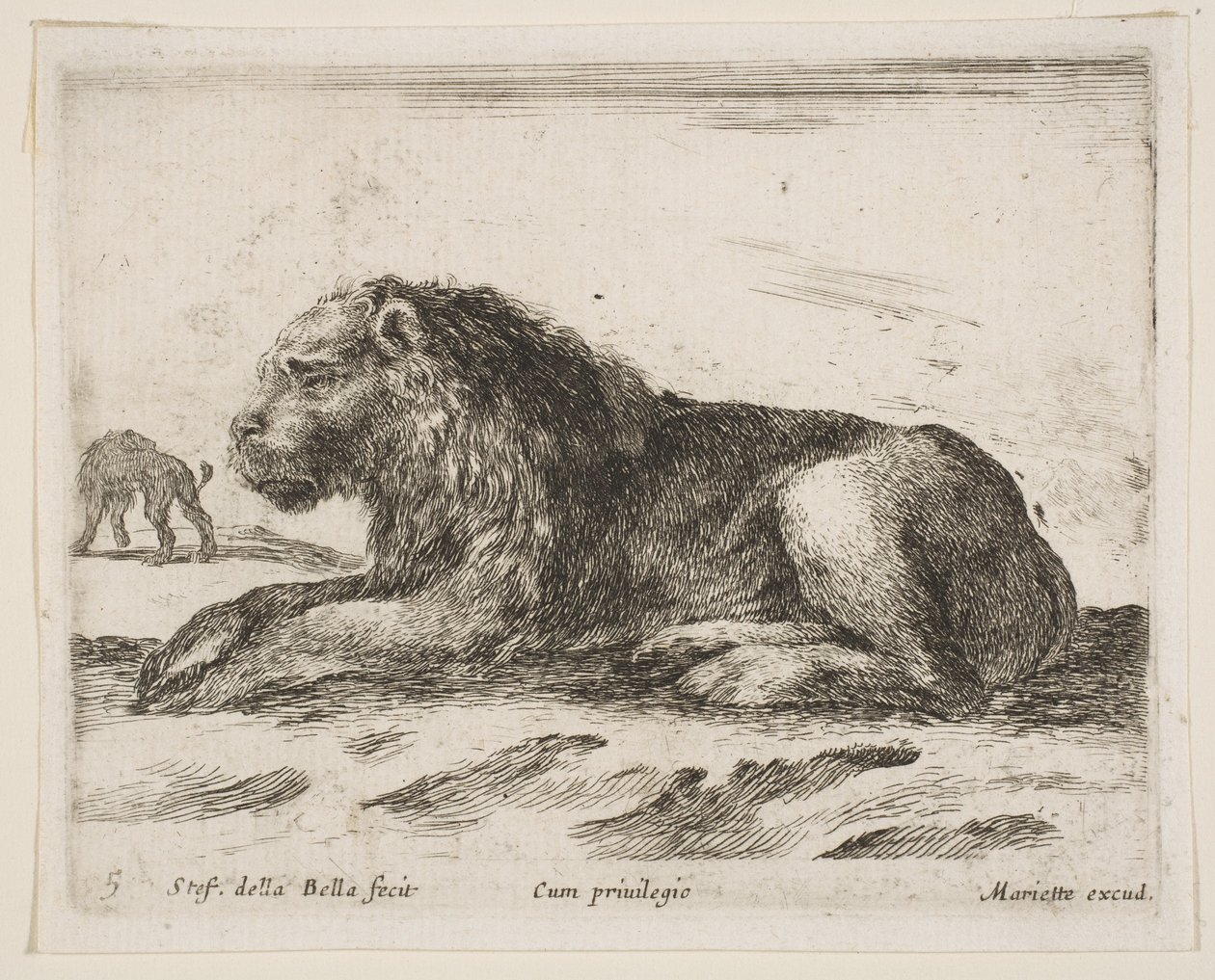 Plaat 5: liggende leeuw, uit Diverse dieren Diversi animali, 1641 door Stefano della Bella