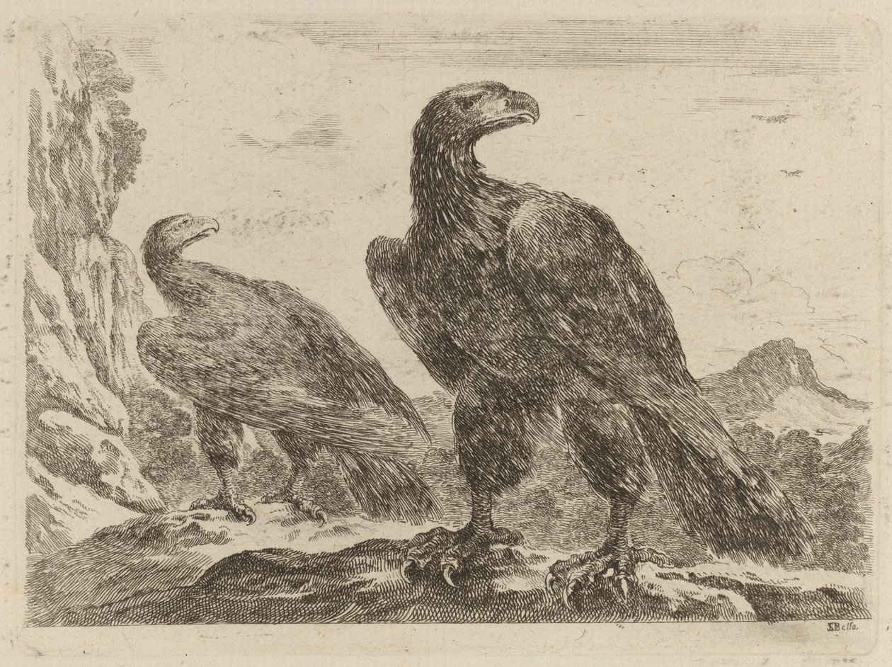 Twee adelaars, beide met hoofden naar rechts gedraaid door Stefano della Bella