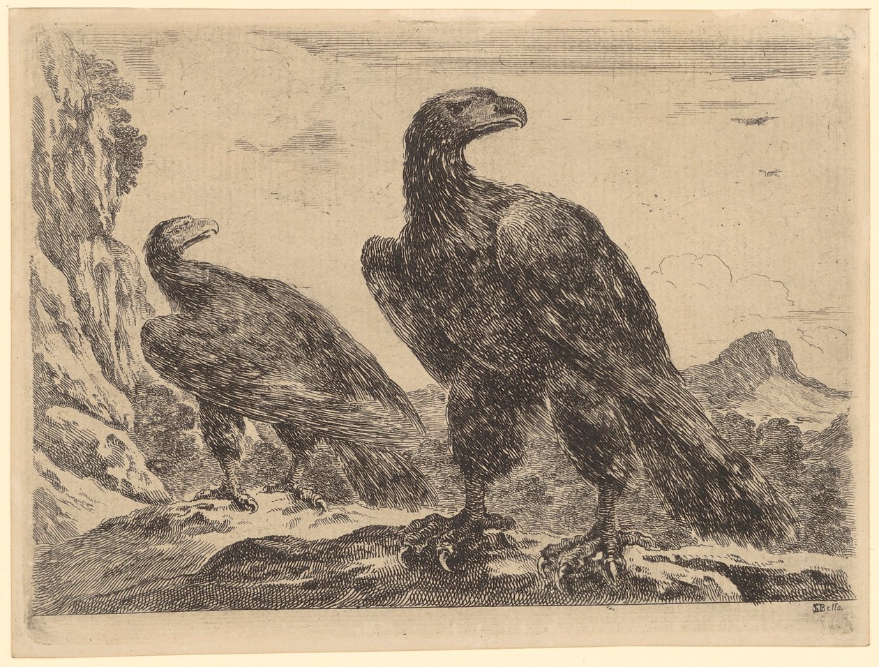 Twee adelaars bij een rotswand, blad 5 van de serie „Adelaars” door Stefano della Bella