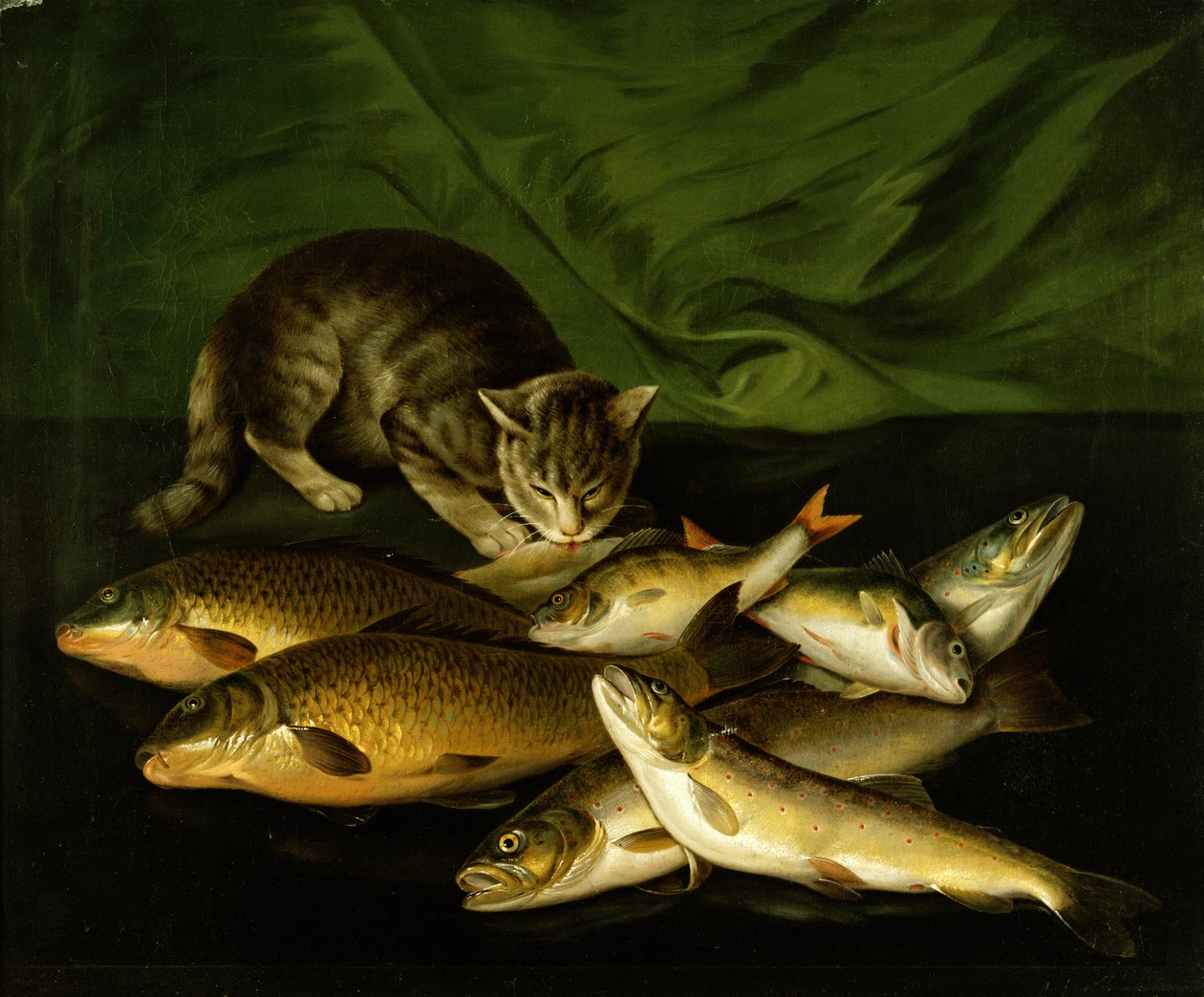 Een kat met forel, baars en karper op een richel door Stephen Elmer
