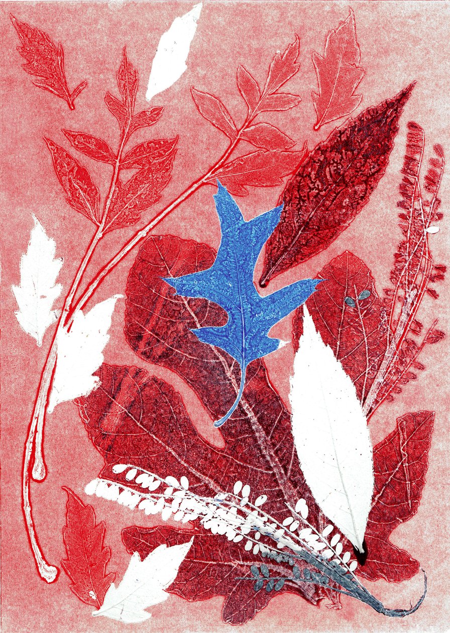 Jol III, 2017 (monoprint op papier) door Stephen Dow
