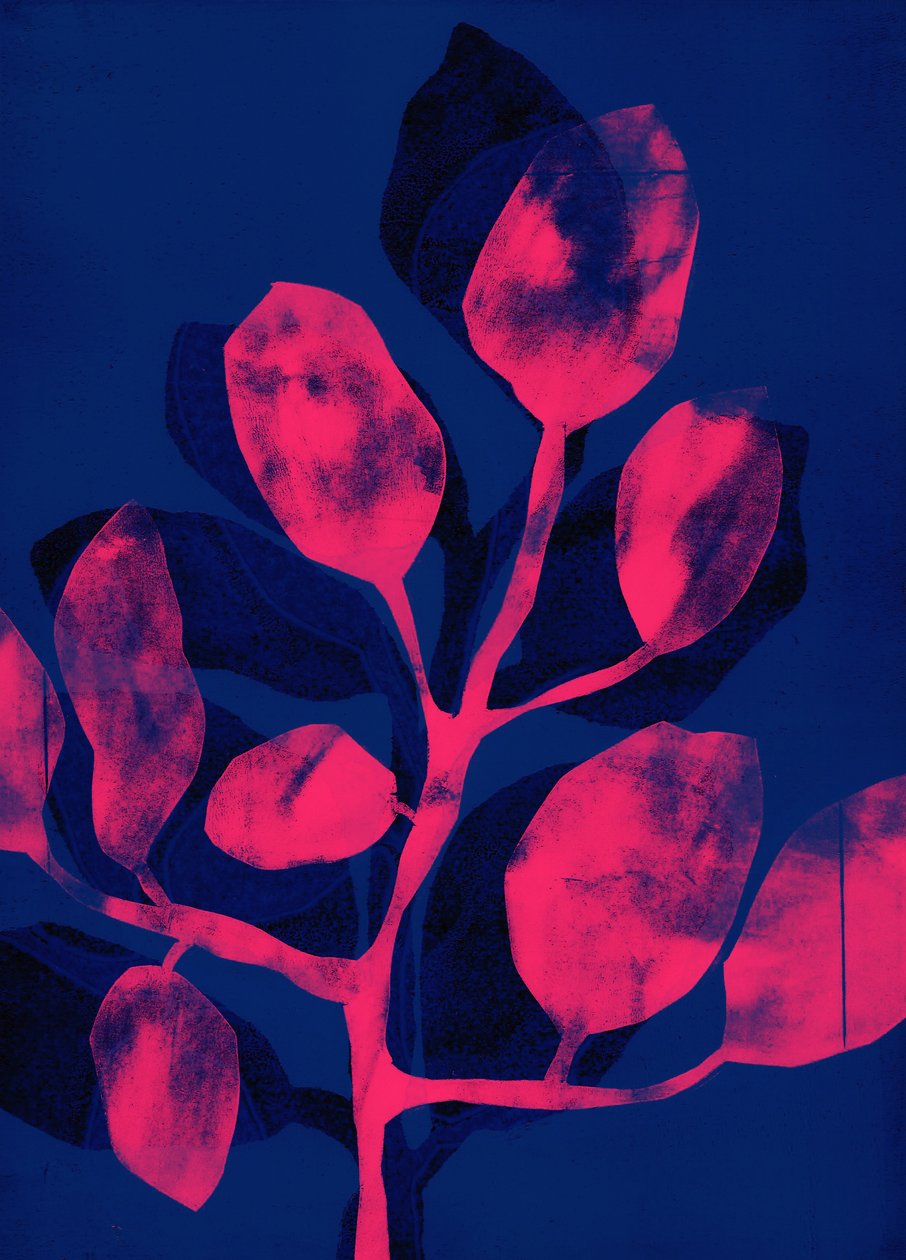 Summer Garden III pink, 2018 (digital) door Stephen Dow