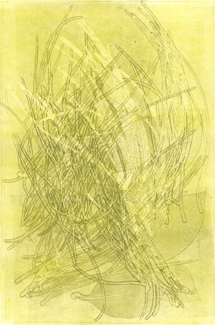 Zomertuin V, 2015 (monoprint op papier) door Stephen Dow