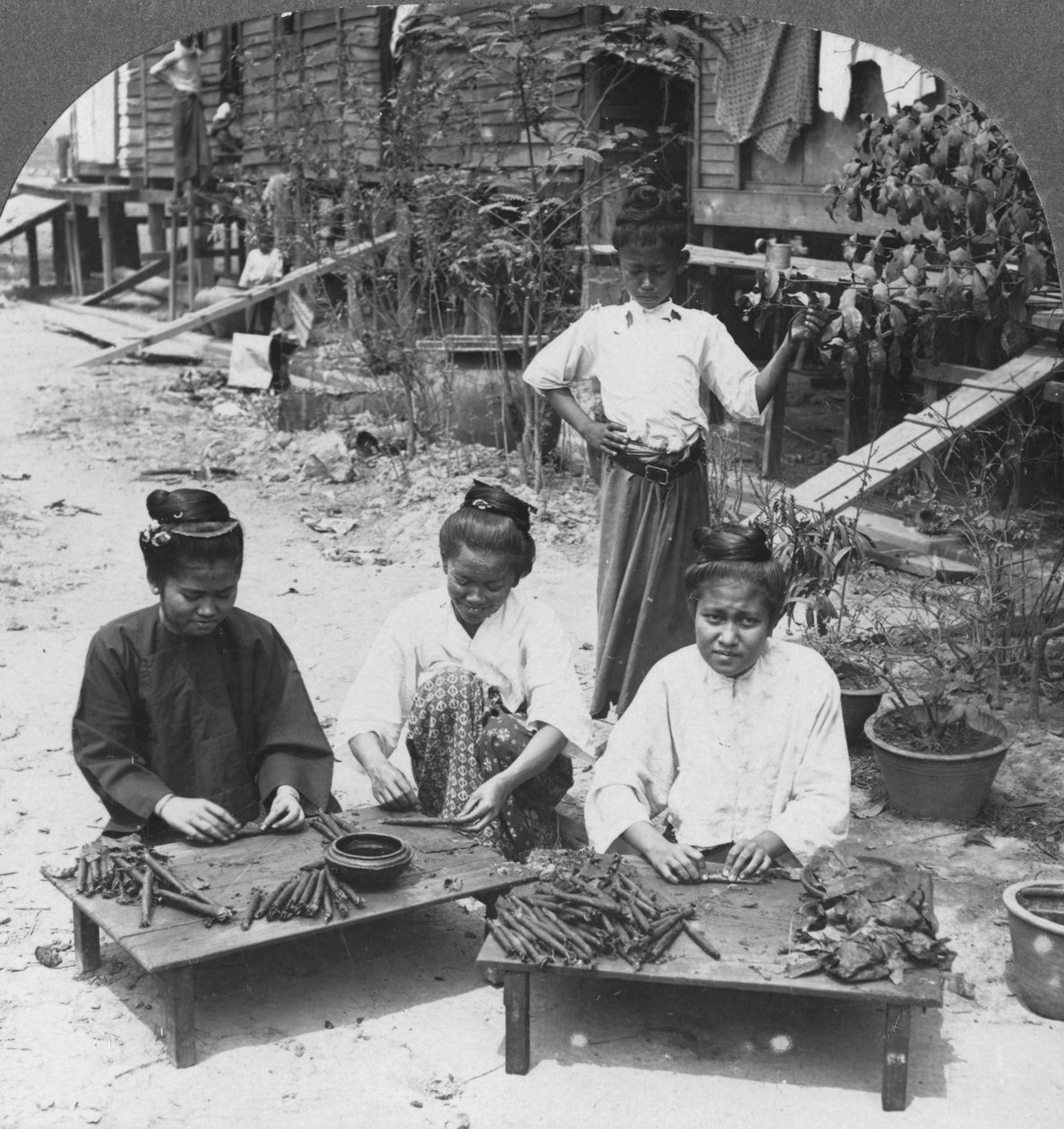 Het maken van de grote sigaren gerookt door vrouwen, Birma, 1908 door Stereo Travel Co