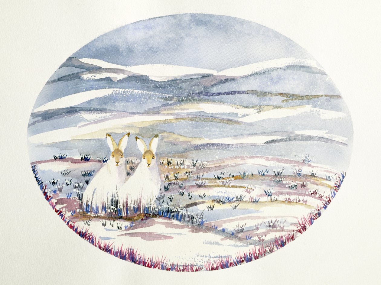 Twee Hazen in een Besneeuwd Landschap door Suzi Kennett