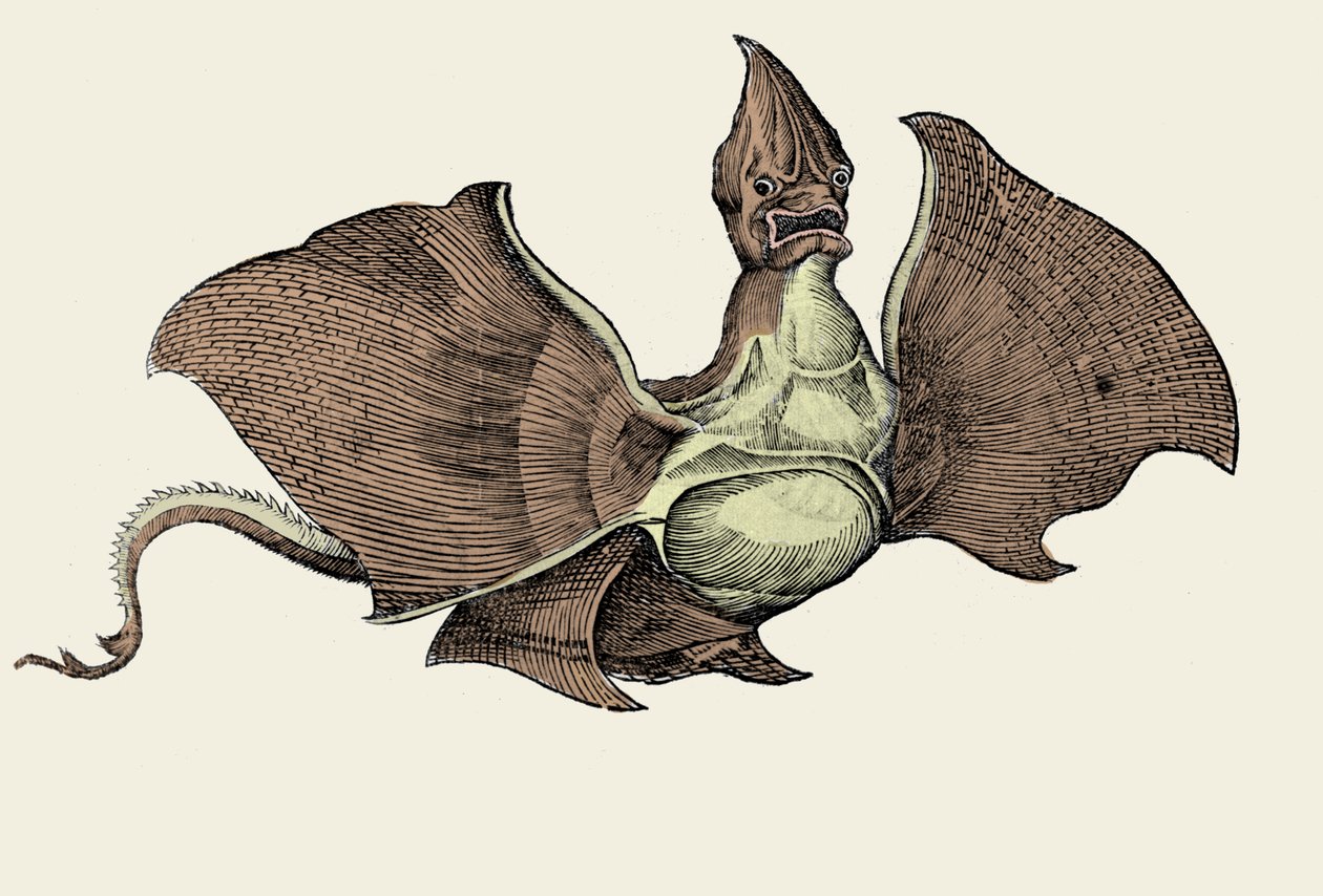 Fantastisch zee monster, illustratie uit 