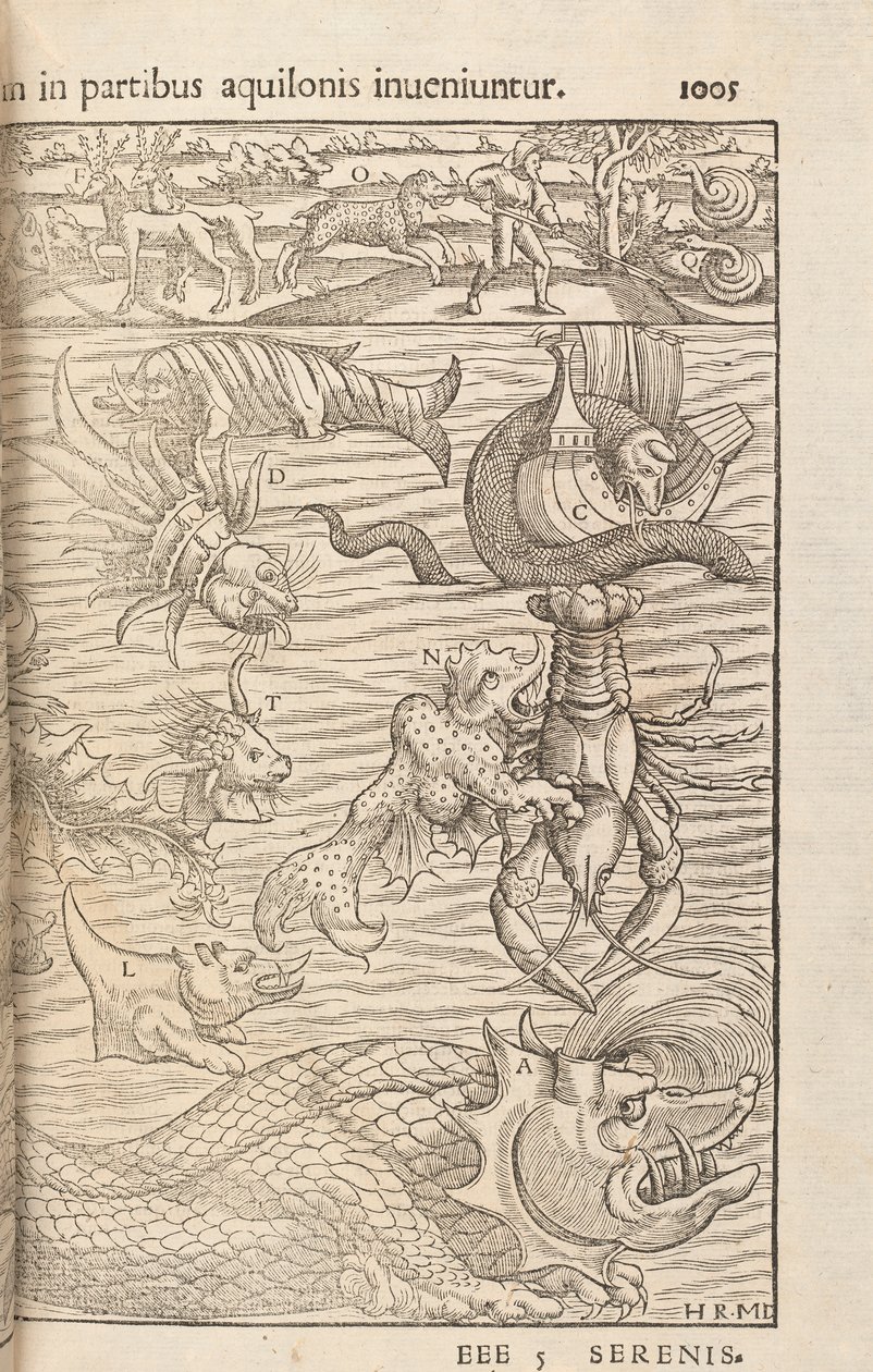 Pagina 1005 uit Cosmographiae Universalis door Sebastian Muenster, Basel, 1572 door Swiss School