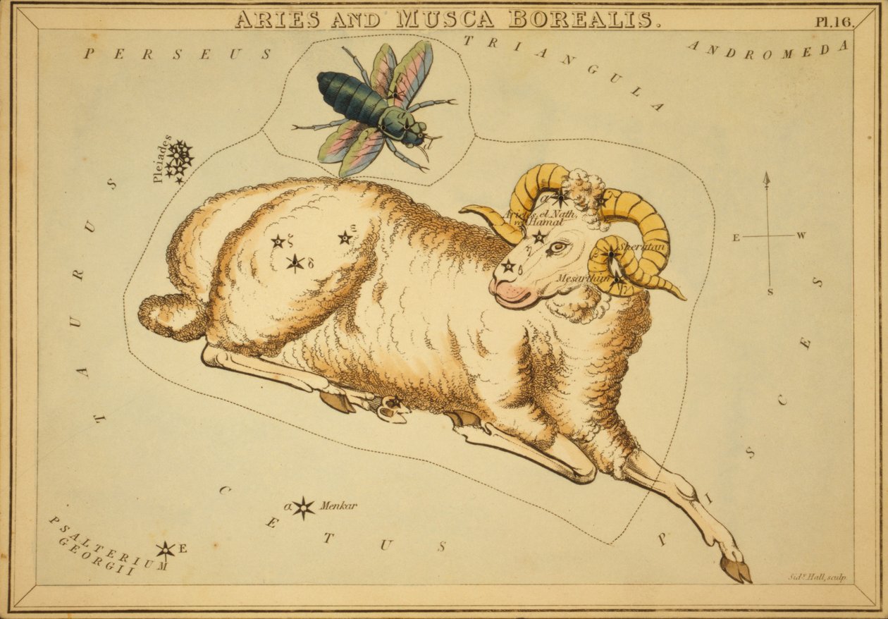Aries en Musca Borealis, Illustratie uit 