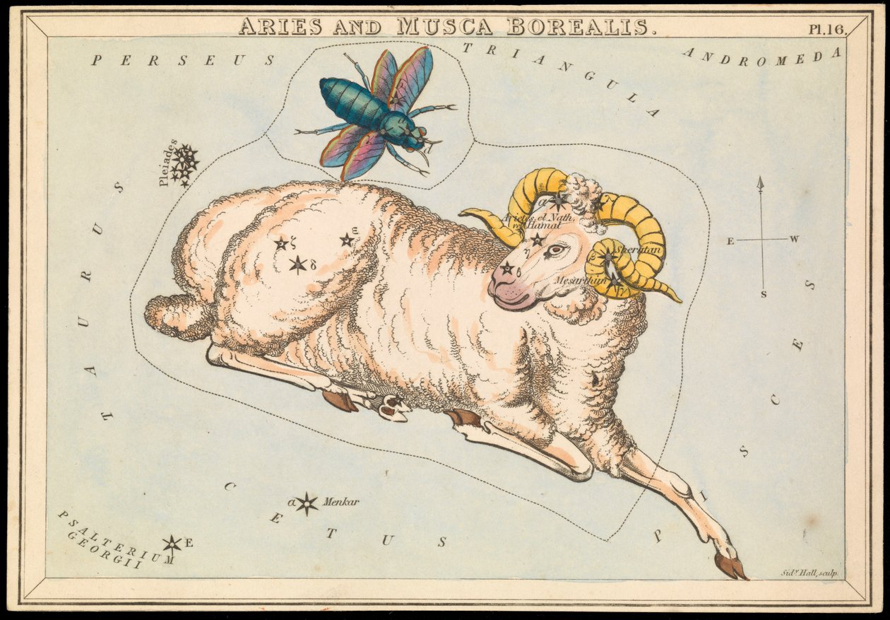 Aries en Musca borealis, c.1825 door Sydney Hall