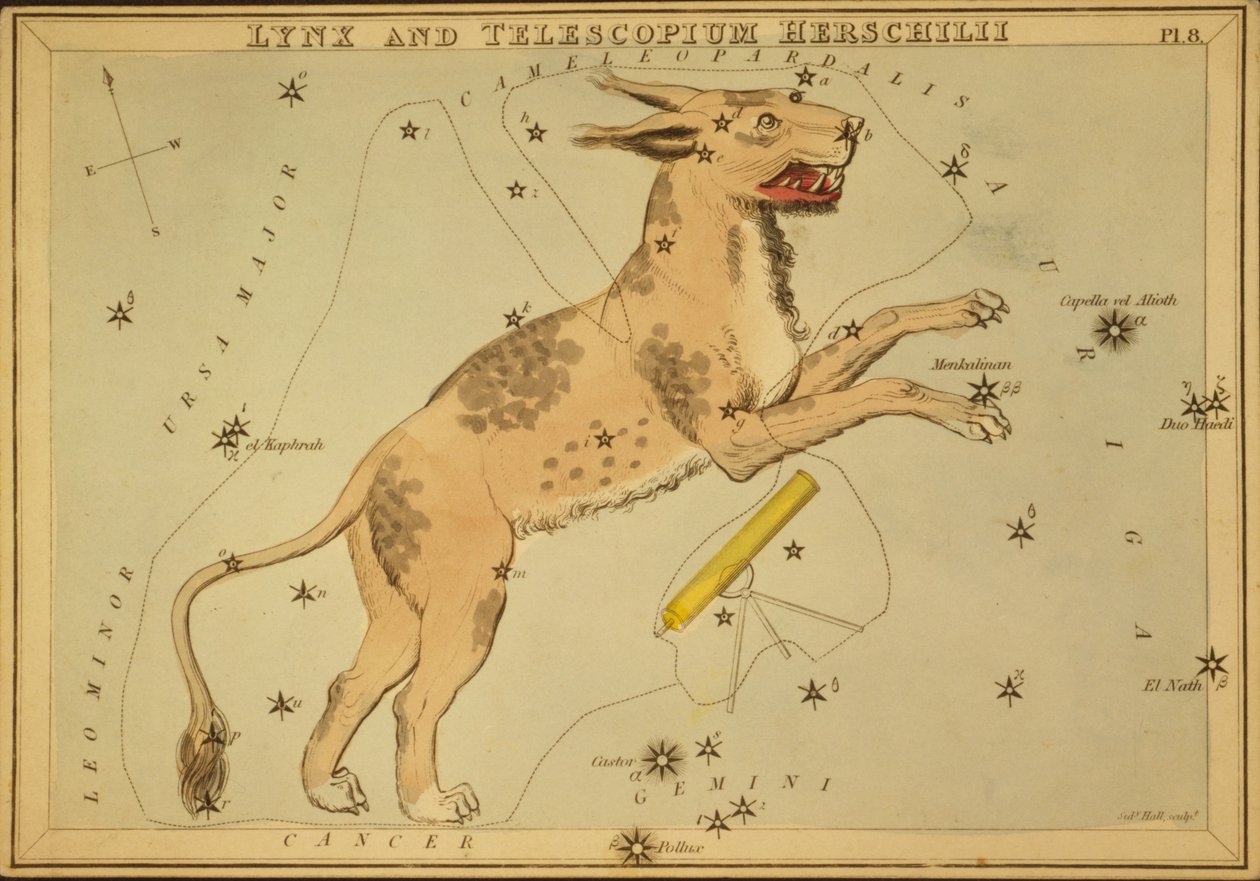 Lynx en Telescopium Herschilii, Illustratie uit 