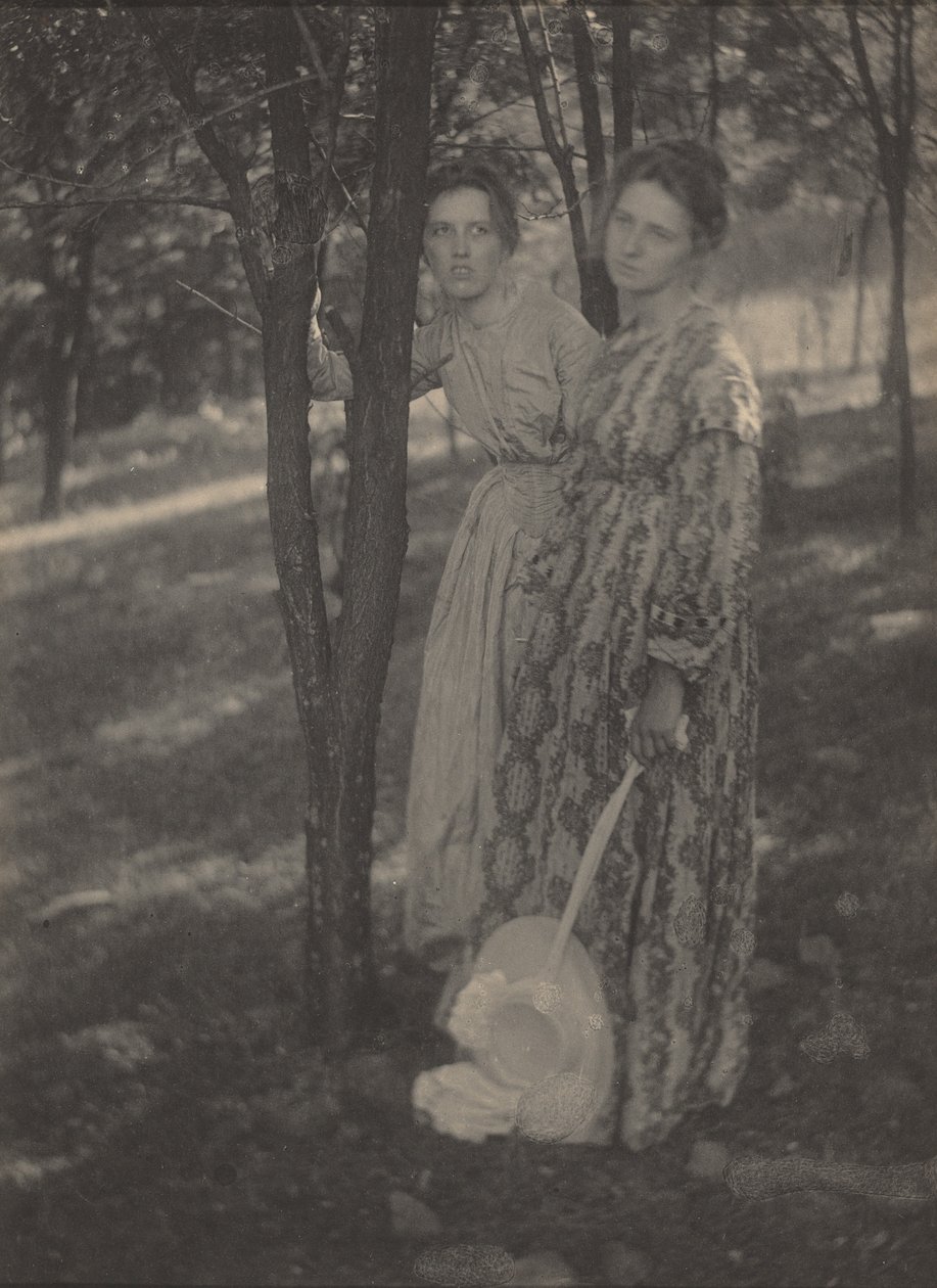 In de bossen,c. 1899 (foto) door T. M. Edmiston