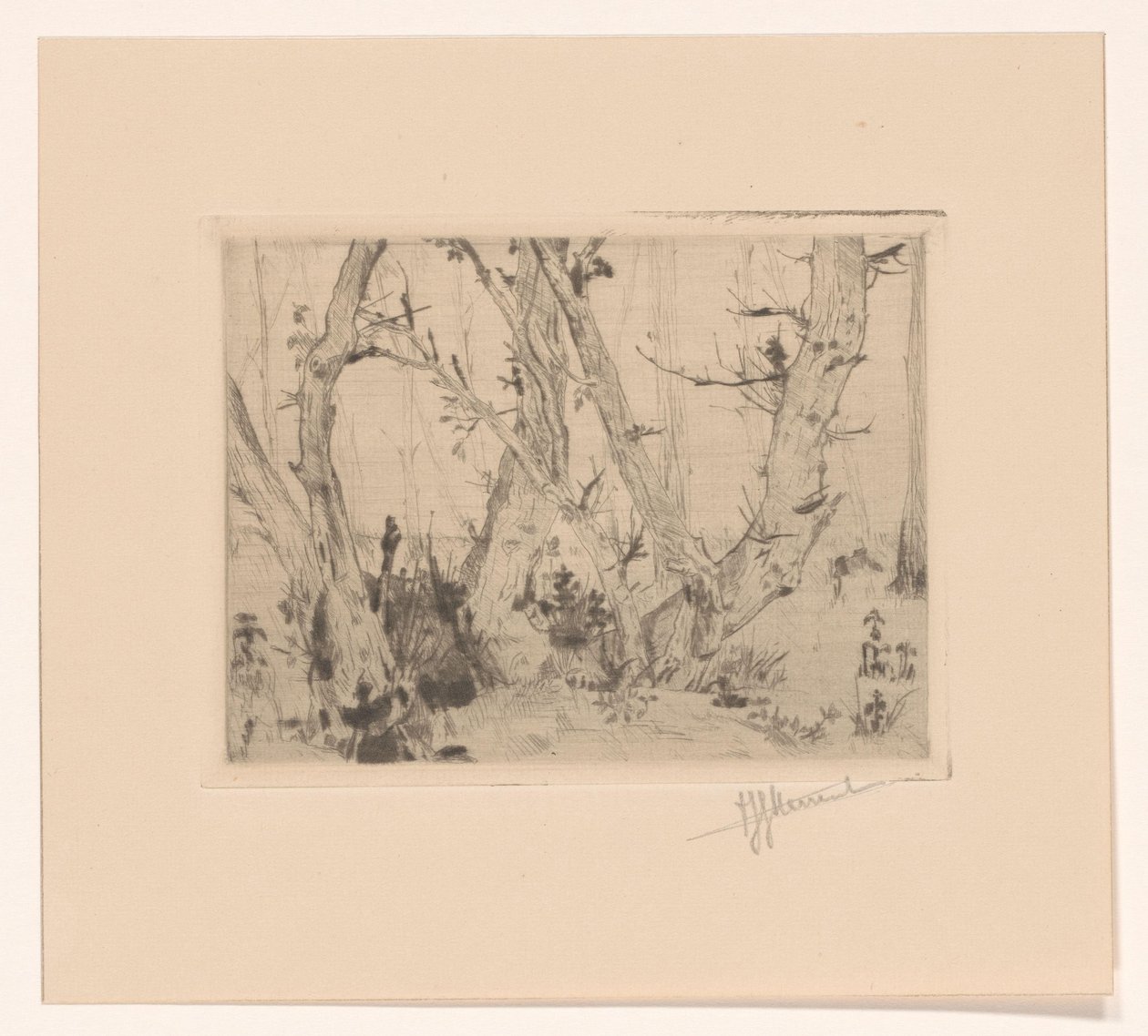 Bosgezicht door T. Sterrenburg (signed by artist)