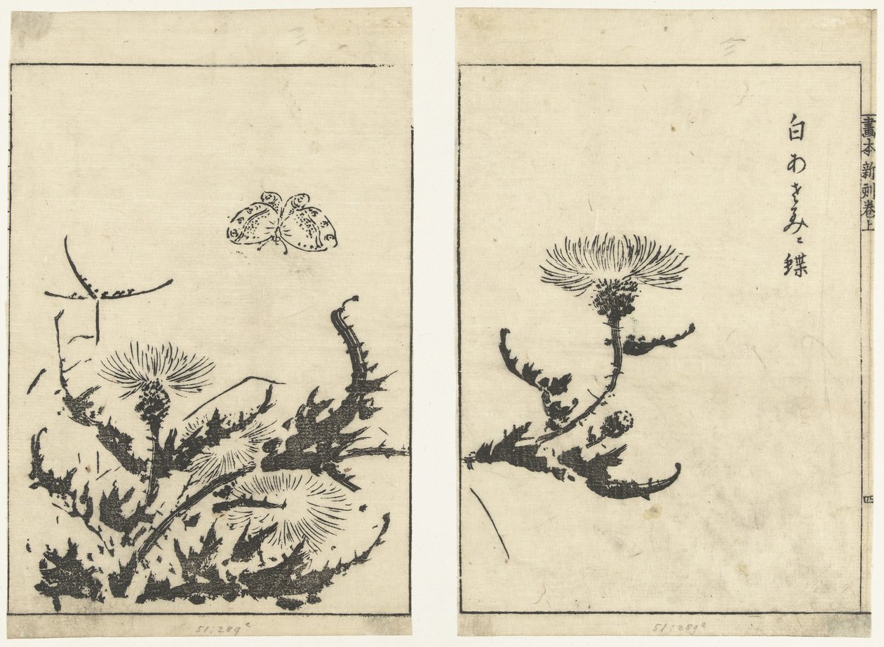 Distels en vlinder door Tachibana Morikuni (attributed to)