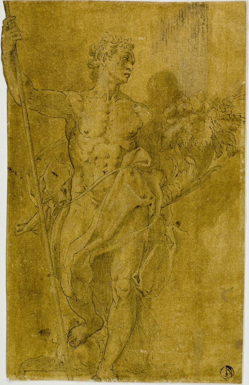 Studie voor mannelijke allegorische figuur door Taddeo Zuccaro