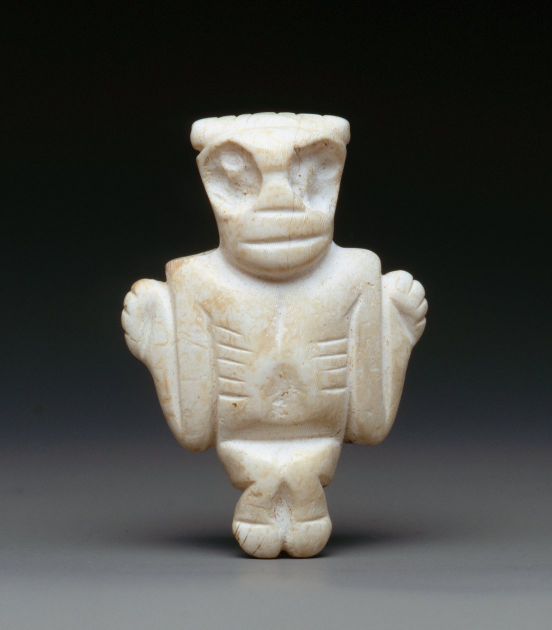 Amulet (schelp) door Taino Culture