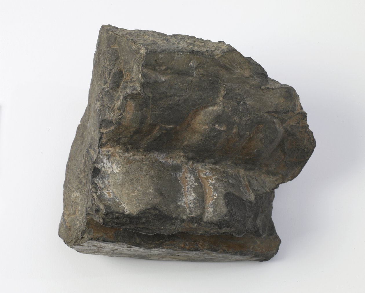 Fragment van een Lotusvoetstuk door Tang Dynasty Chinese School