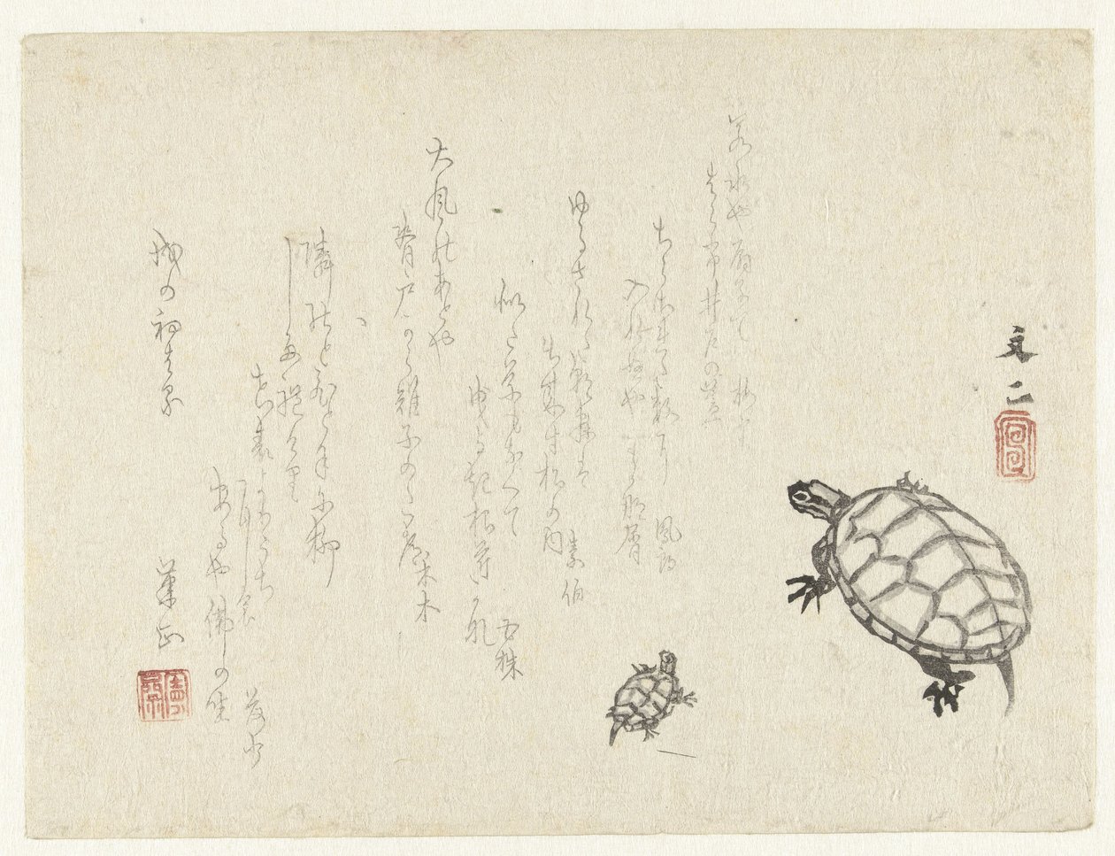 Twee schildpadden door Tani Bunji