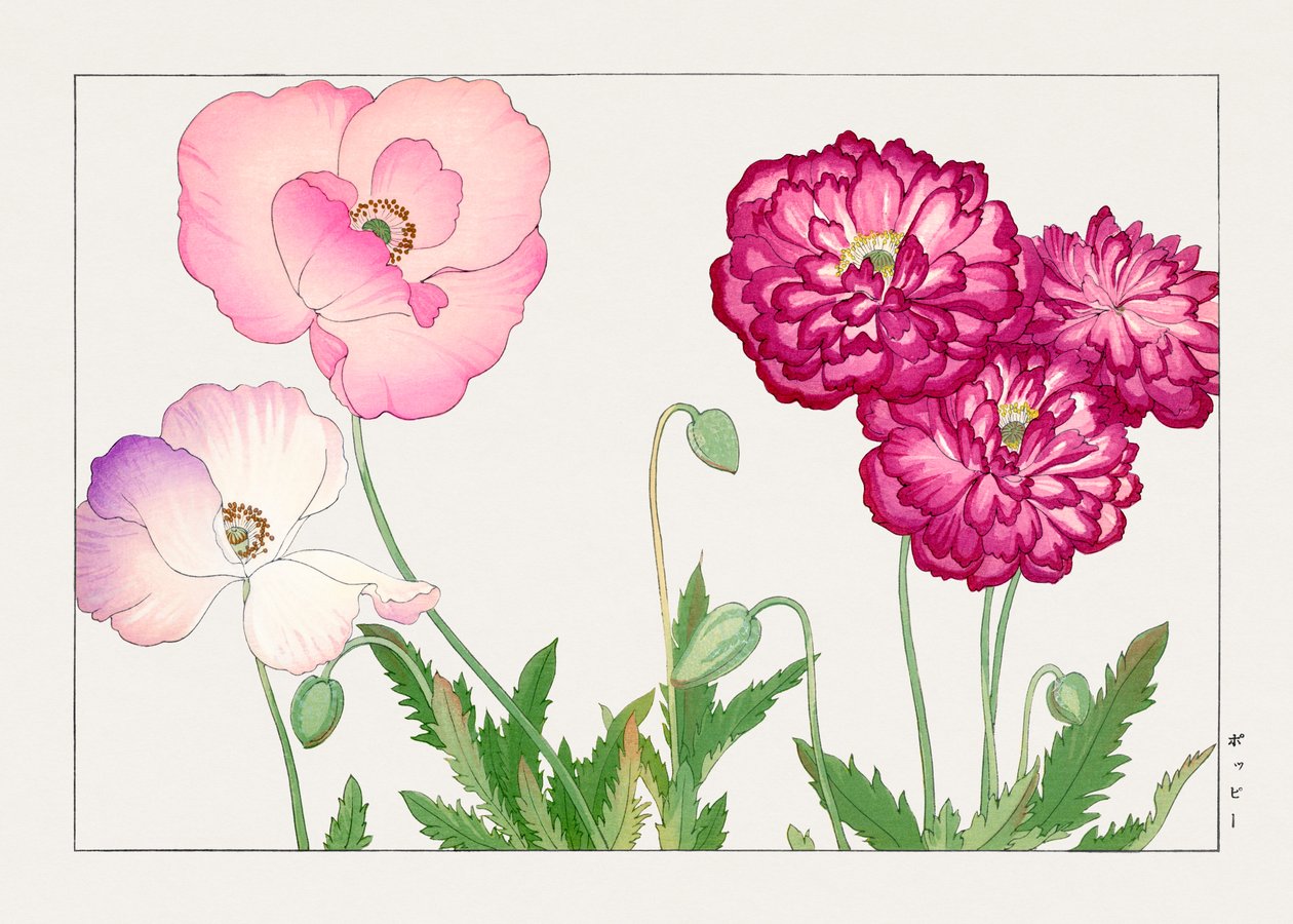 Vintage klaproosbloem van "Seiyou Sokazufu". door Tanigami Konan