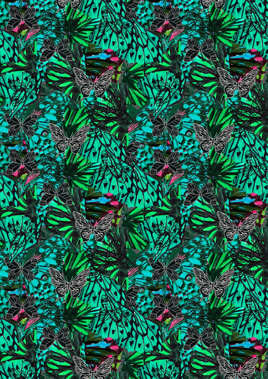 Papillon door Tara Whitehead