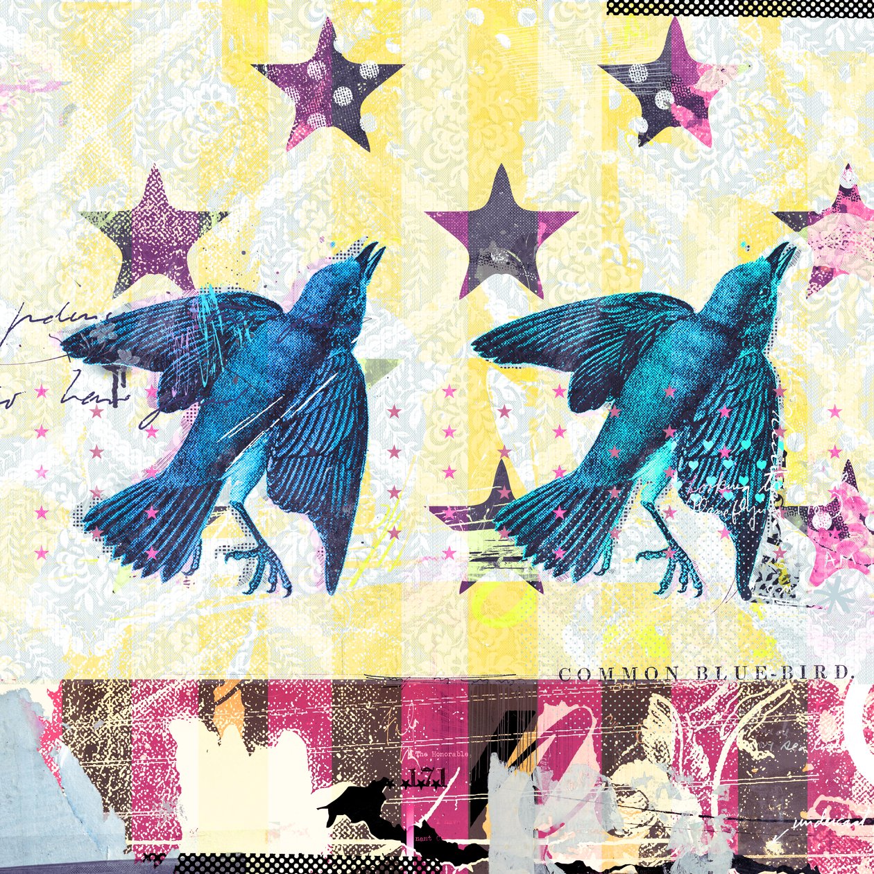 Vogels in serie, 2015 door Teis Albers