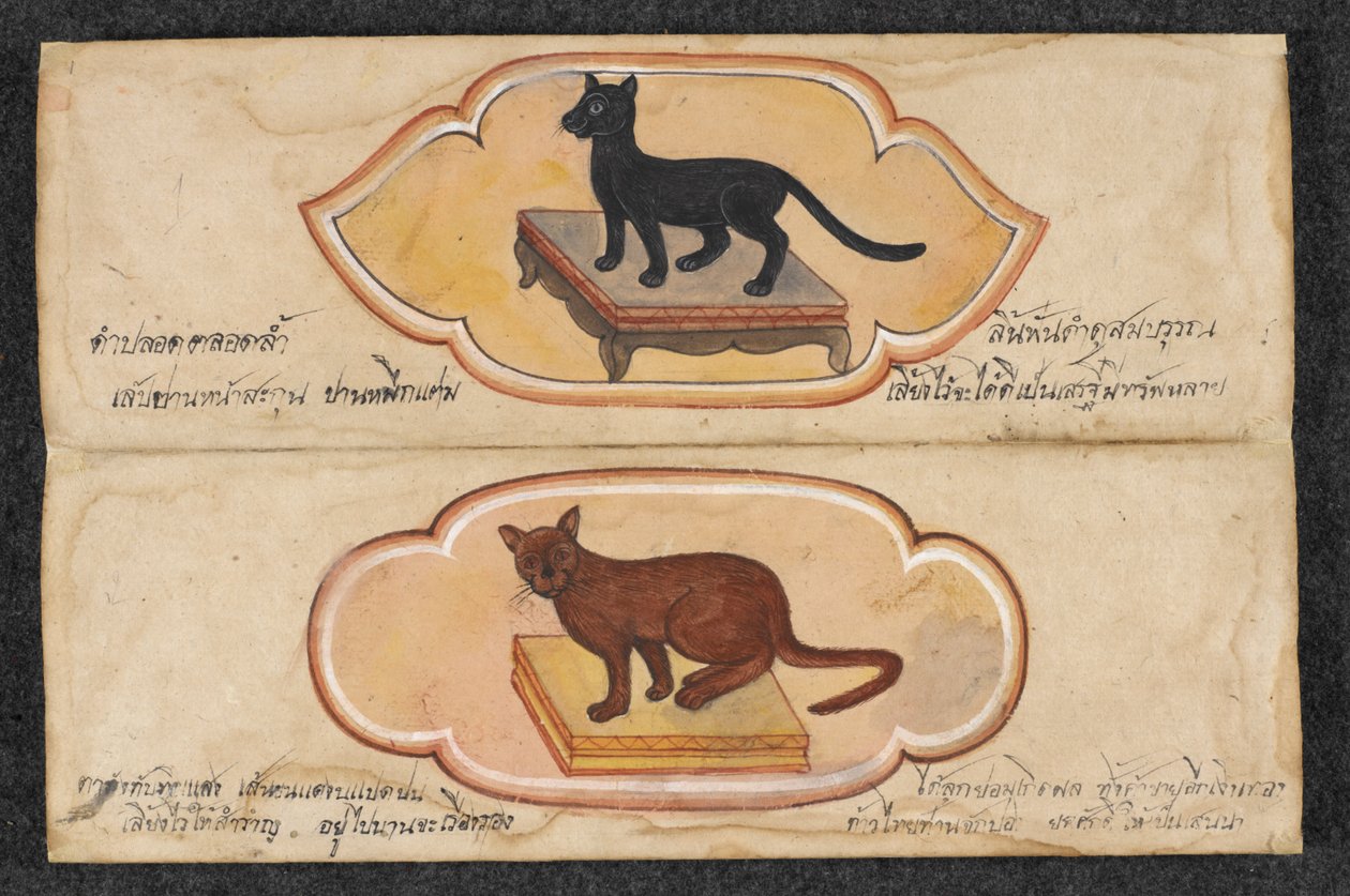 Siamese katten, Fol. 1: twee gelukkige katten om zaken te ondersteunen en rijkdom te vergaren door Thai School