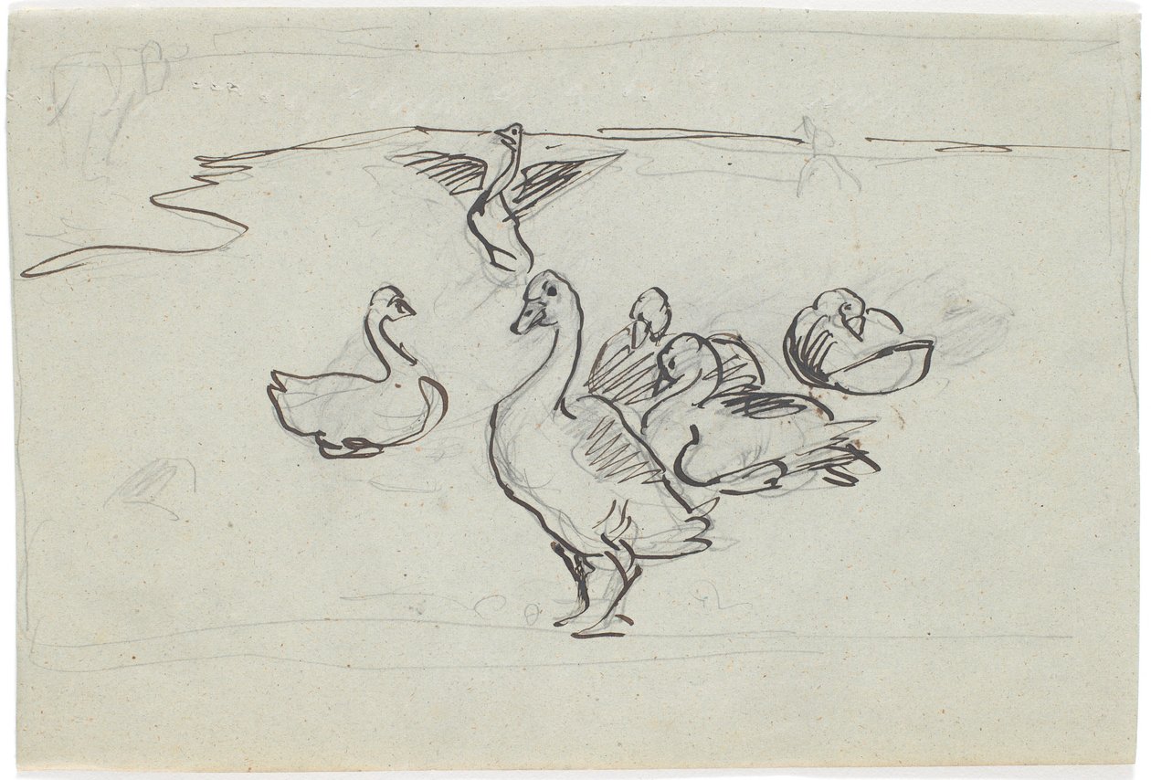 Studie van Ganzen door Theodor Philipsen