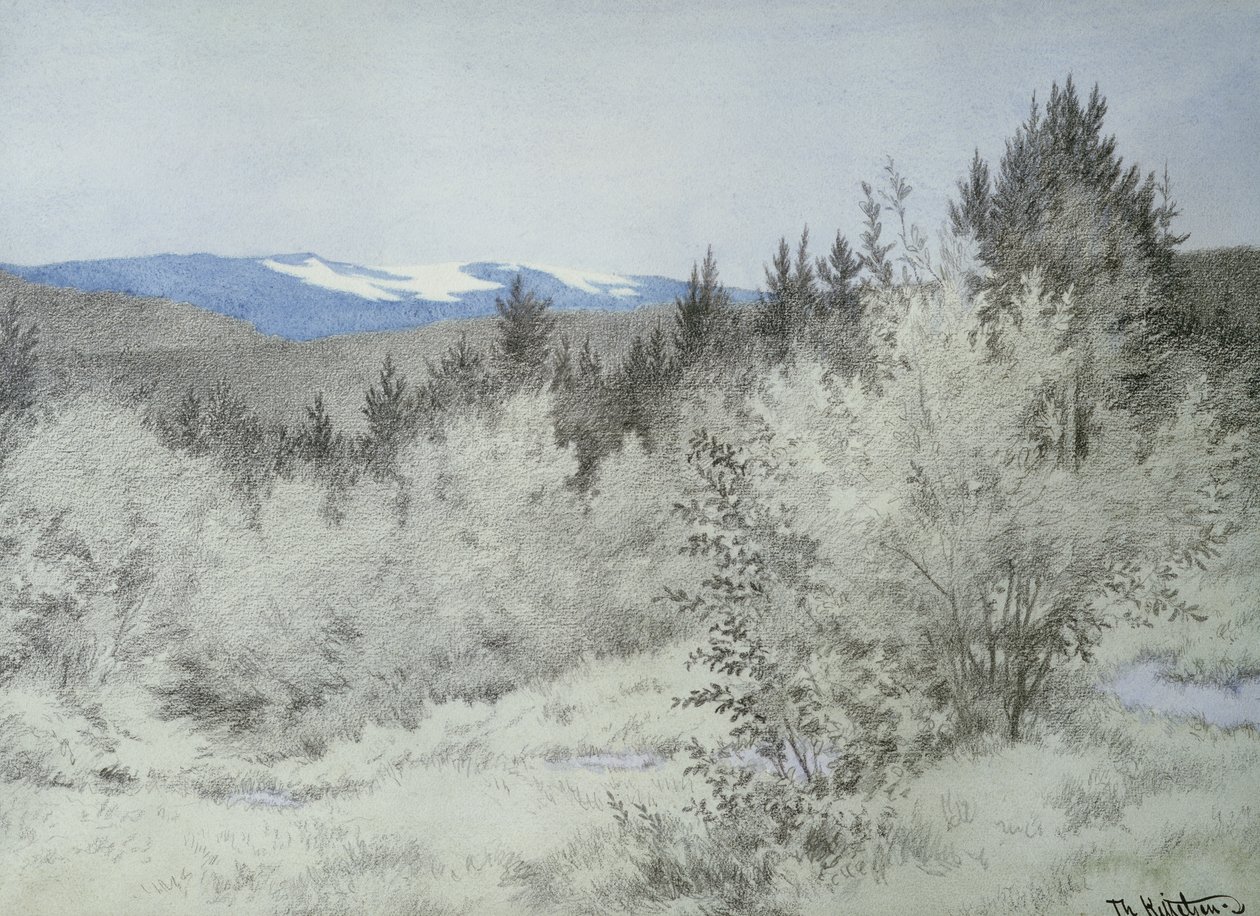 Ver weg in het bos door Theodor Kittelsen